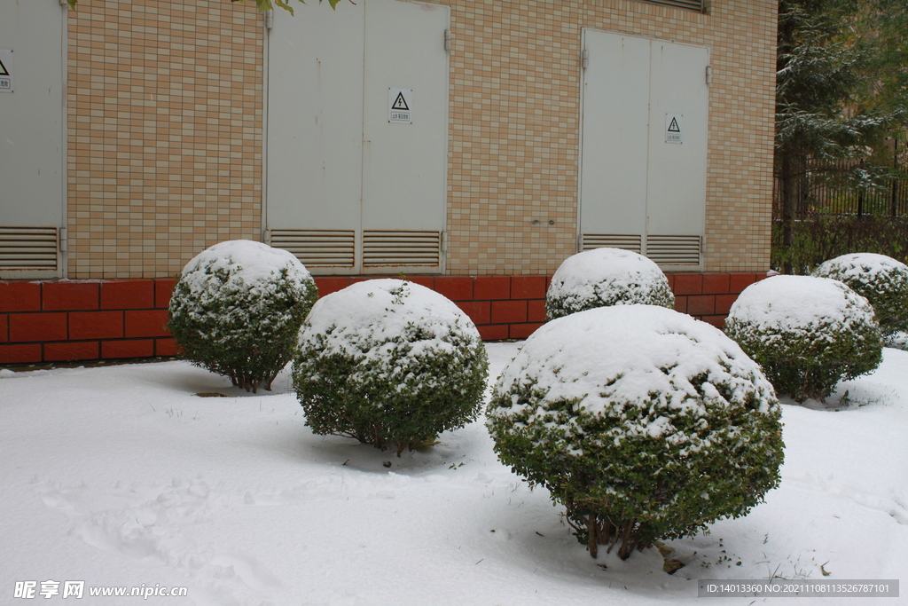 雪球