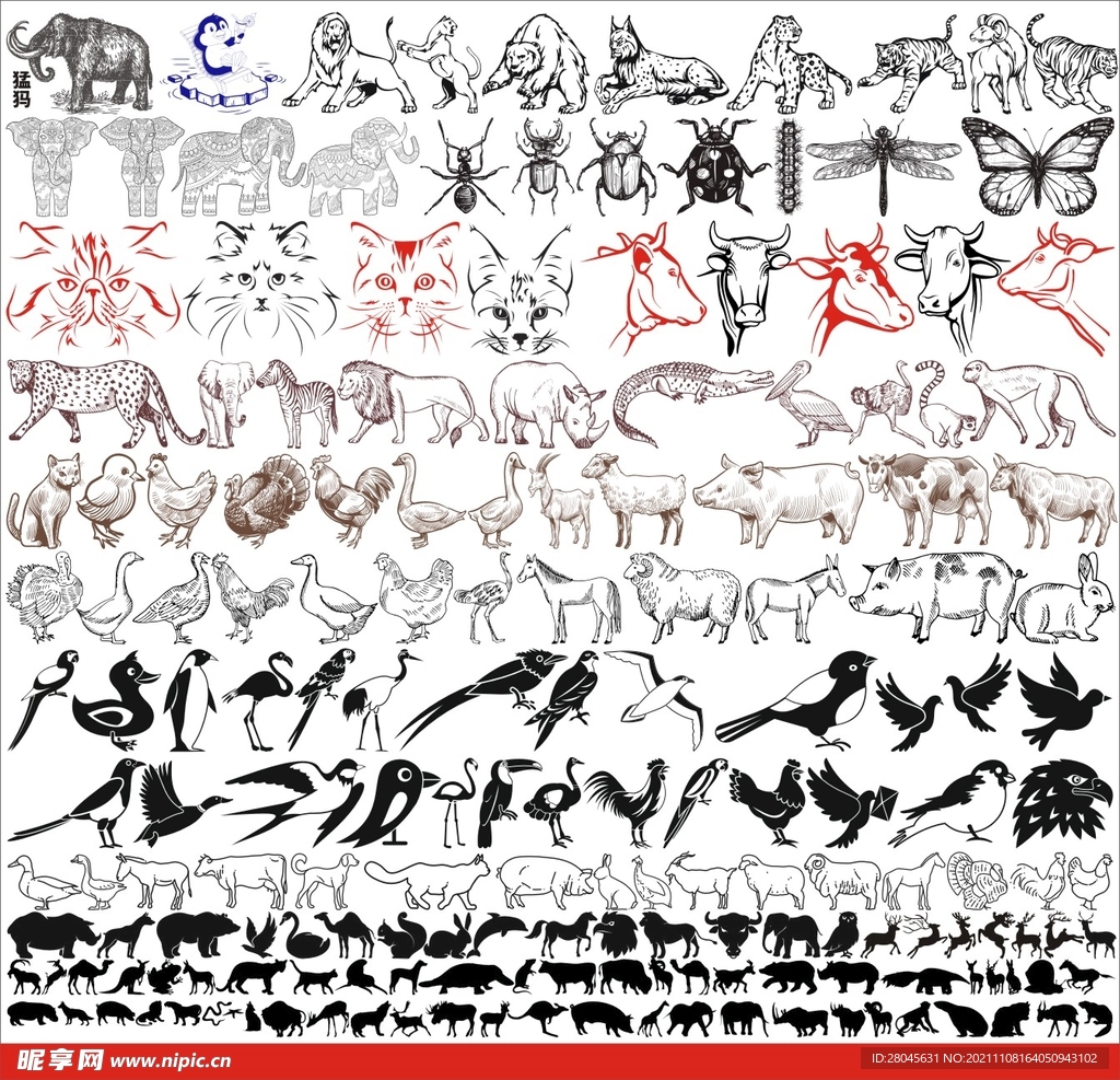 动物矢量图设计