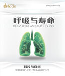 呼吸与寿命海报