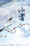 小雪