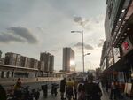 广州棠东