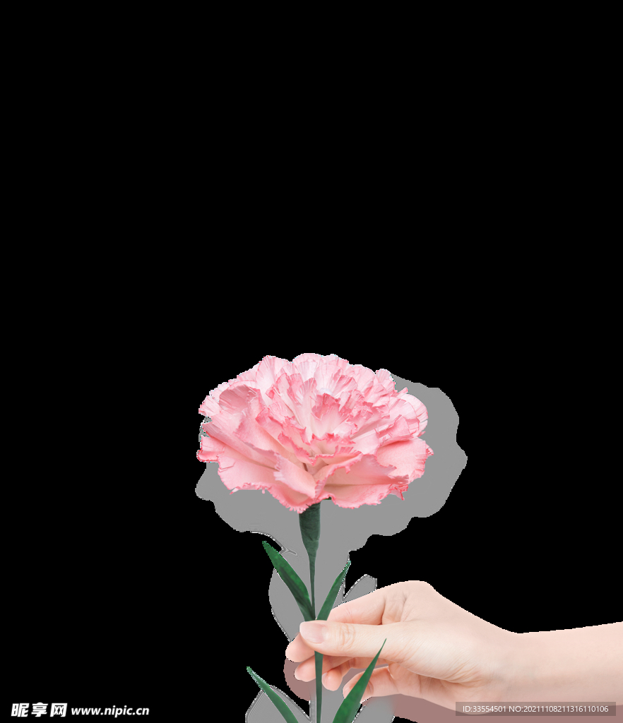 开放的花
