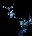 插画花