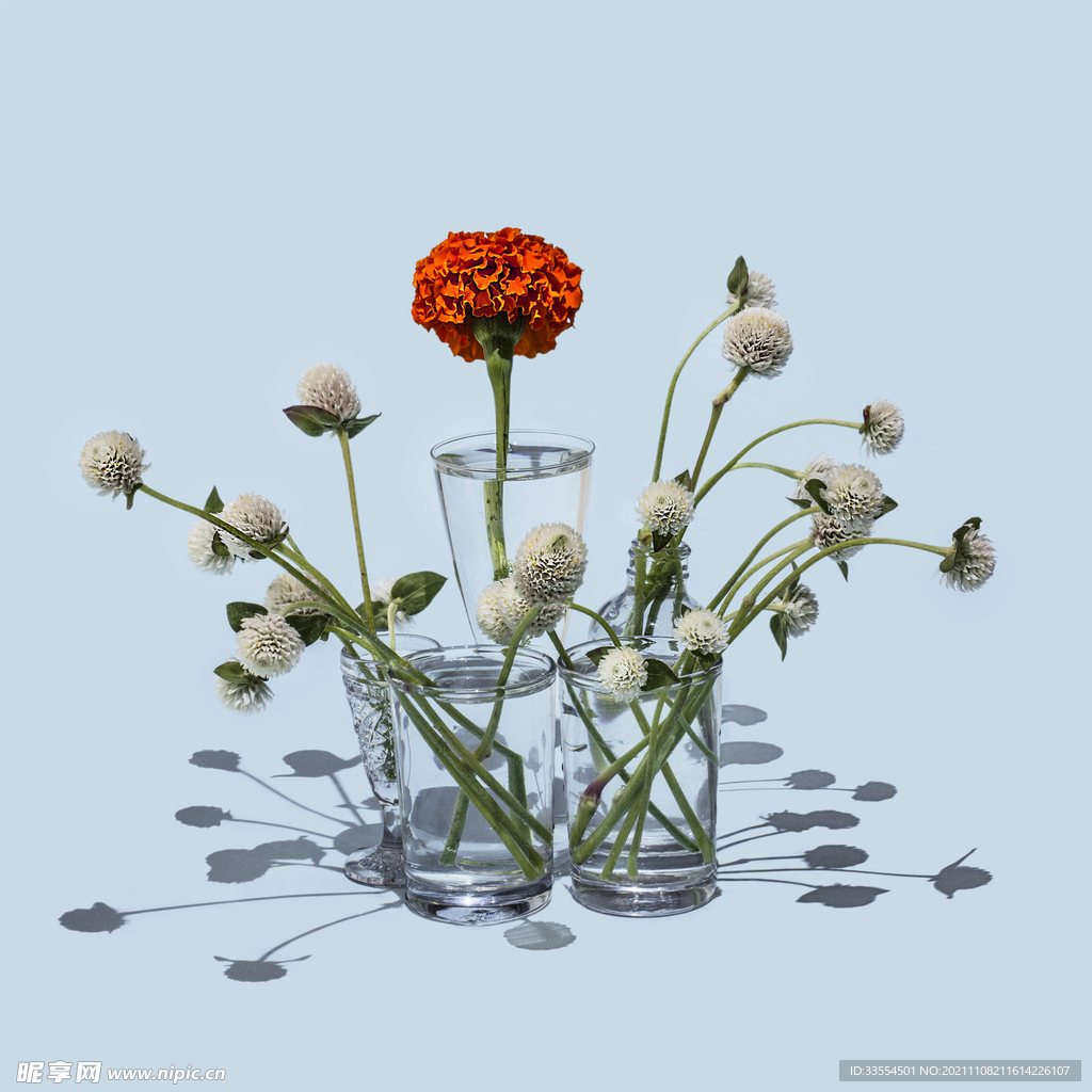 开放的花