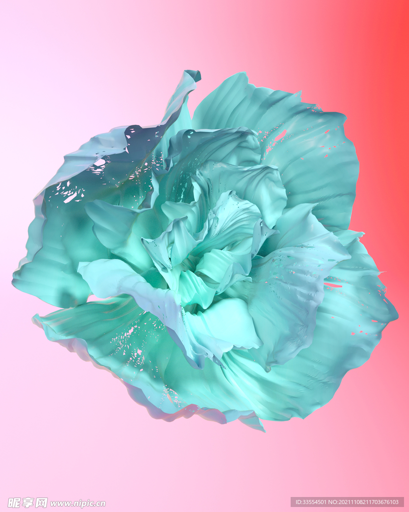 开放的花