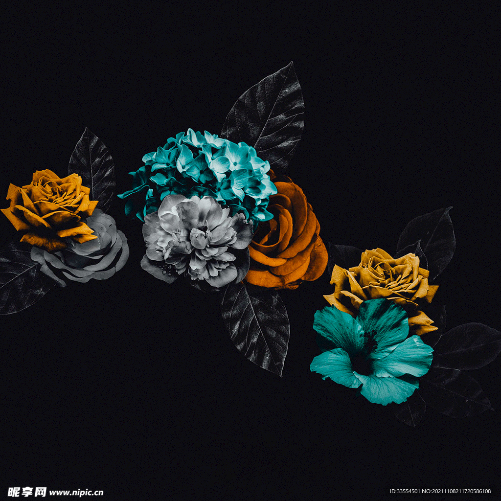 蓝色的花