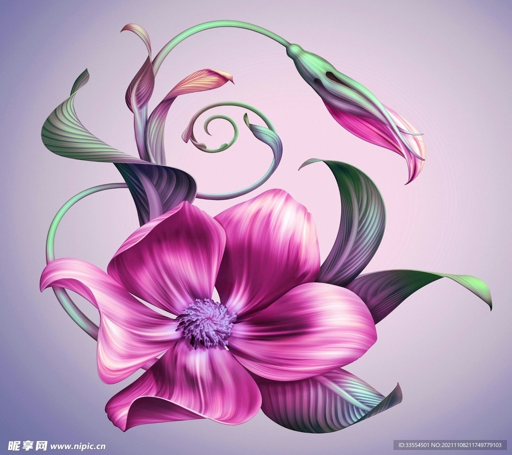 花朵素材 