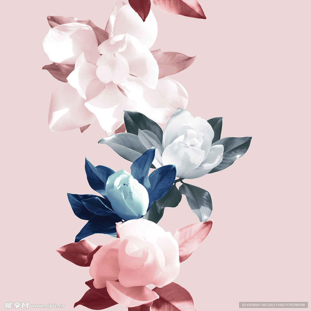花朵素材
