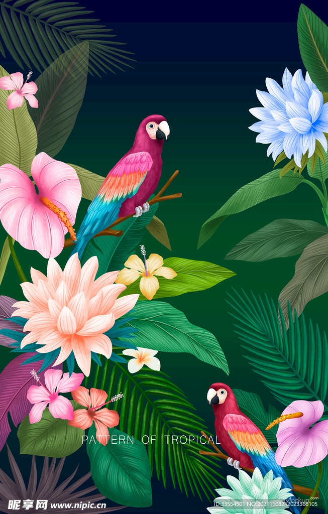 开放的花