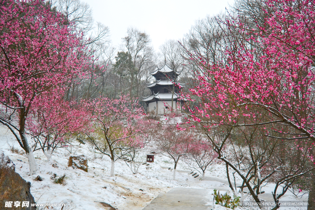 隆中雪景