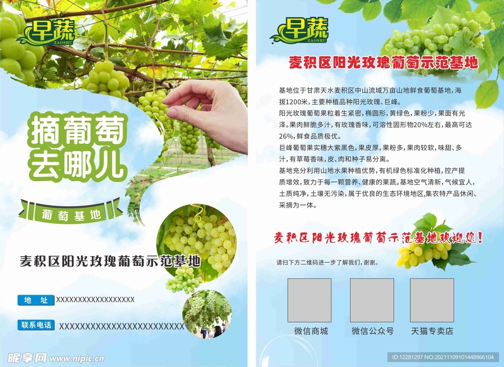 葡萄