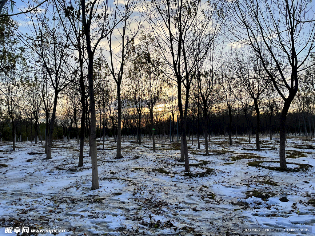 落日余晖下的雪景