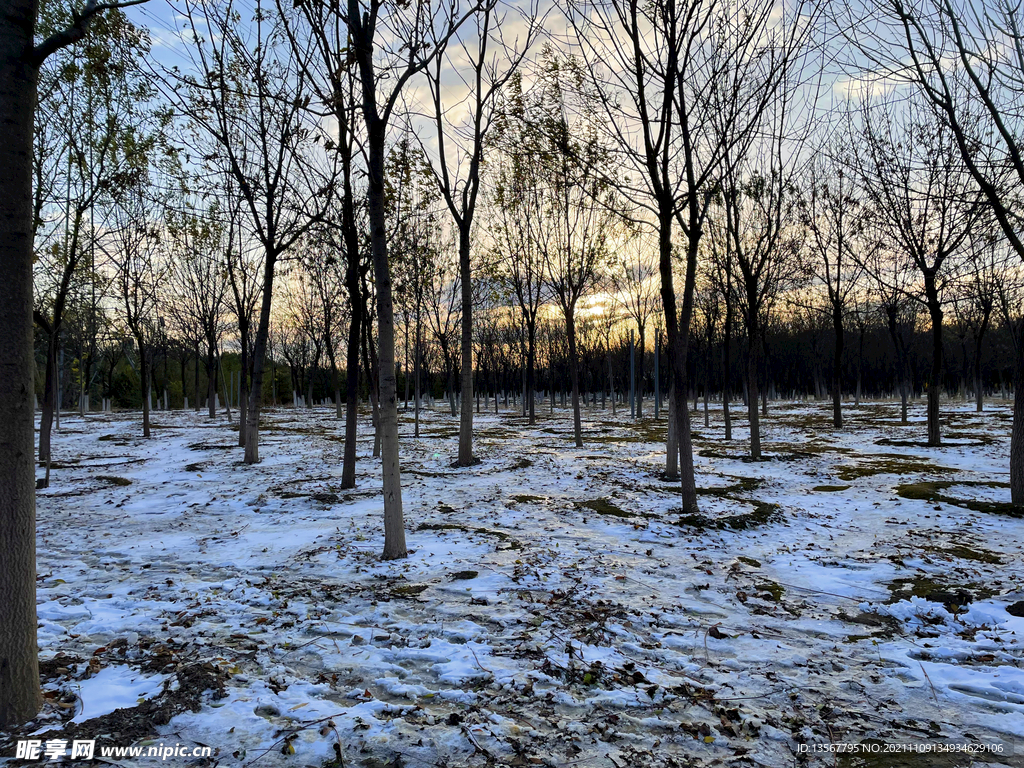 落日余晖下的雪景