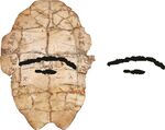 甲骨文上字
