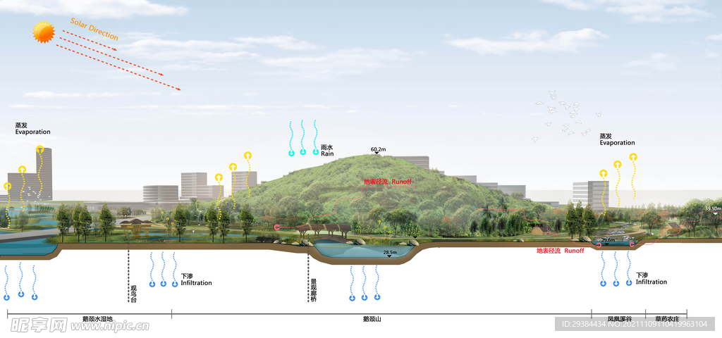 生态湿地景观剖面图