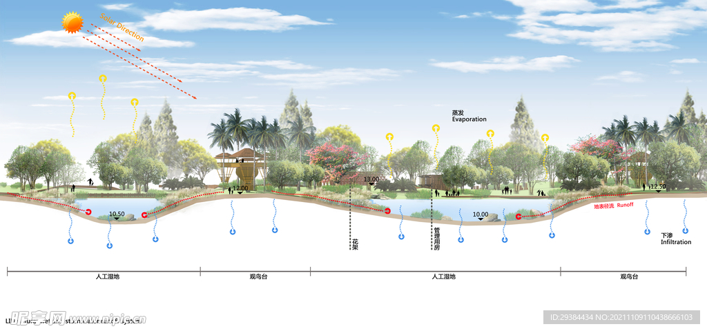 生态湿地景观剖面图