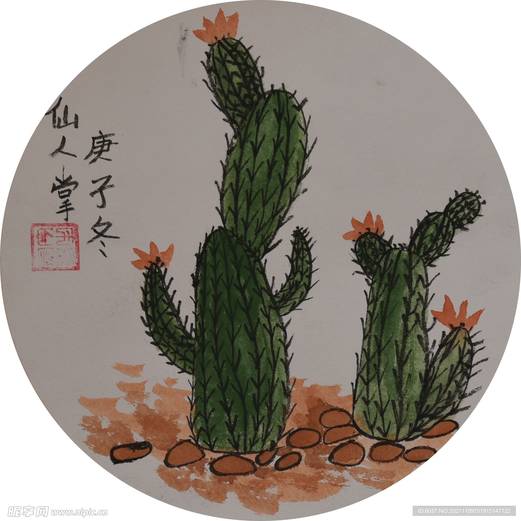 仙人掌