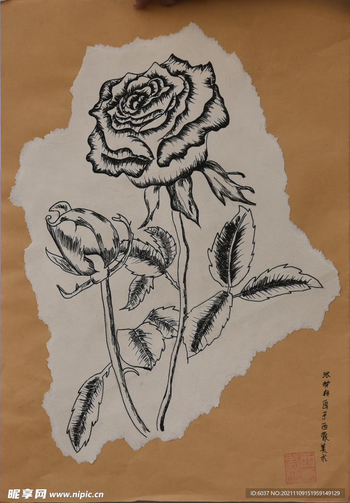 月季花