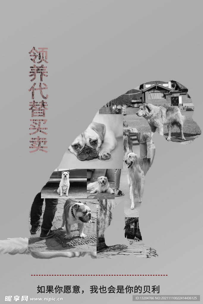 保护动物公益广告