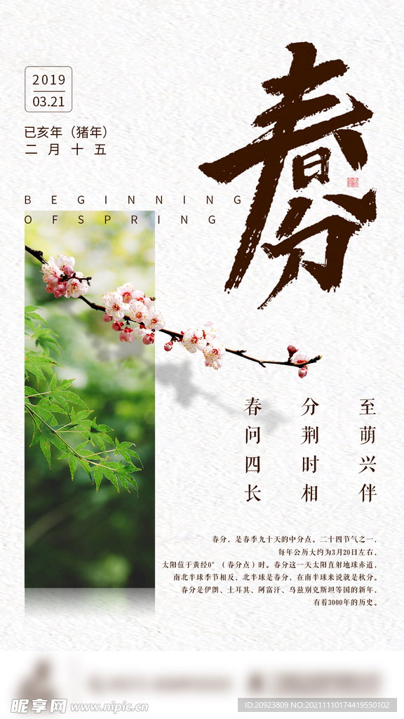 春分节气贴片