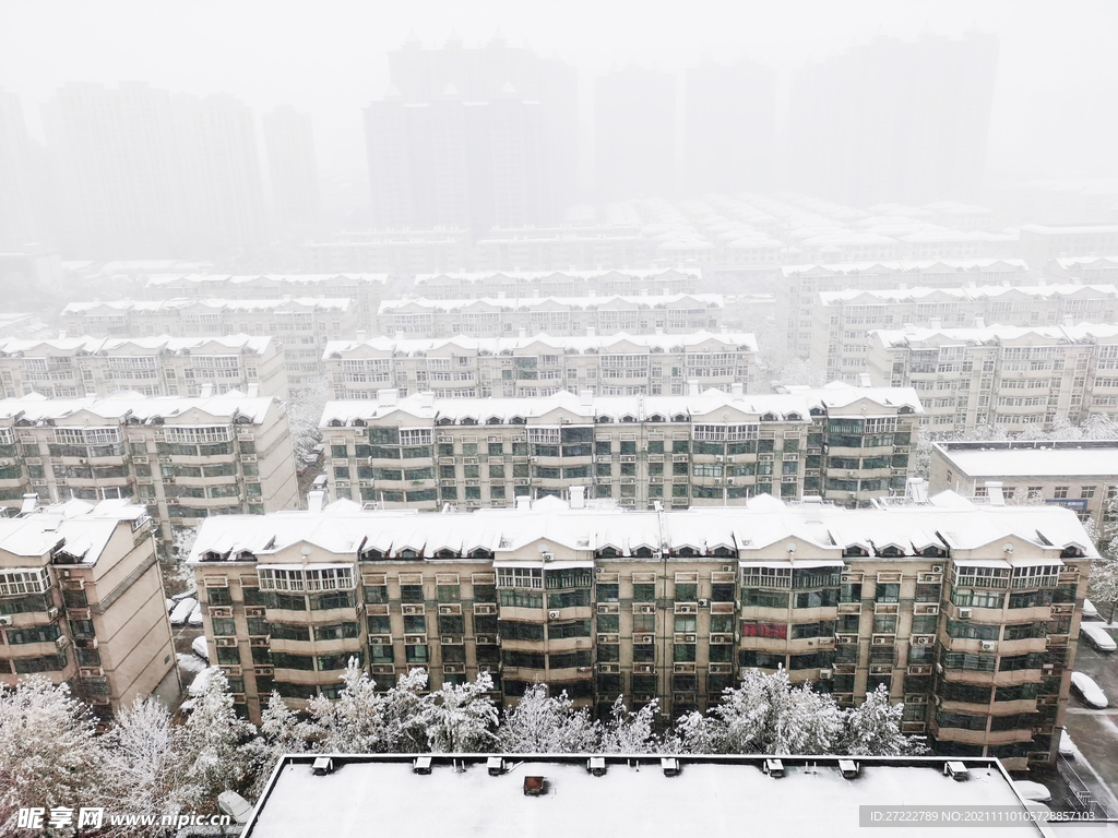 石家庄雪后美景