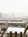 石家庄雪后景色