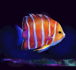 海底鱼