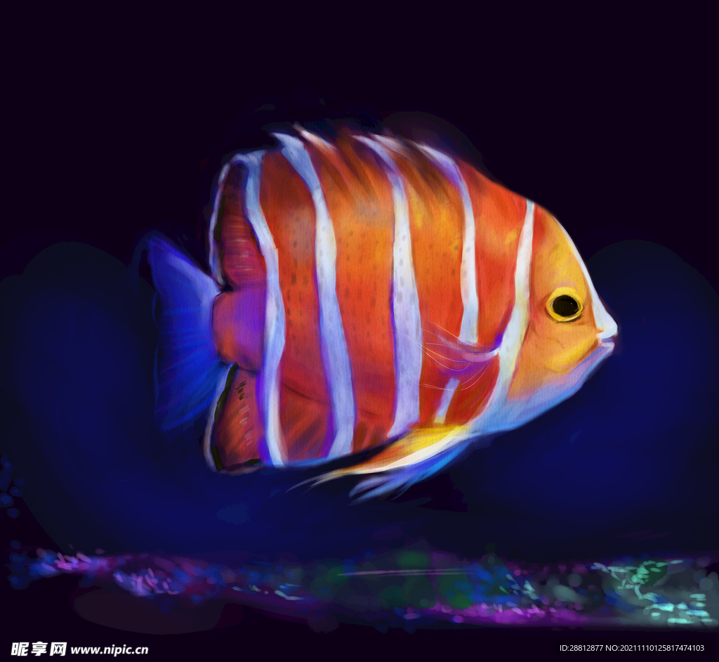海底鱼