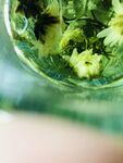 花茶
