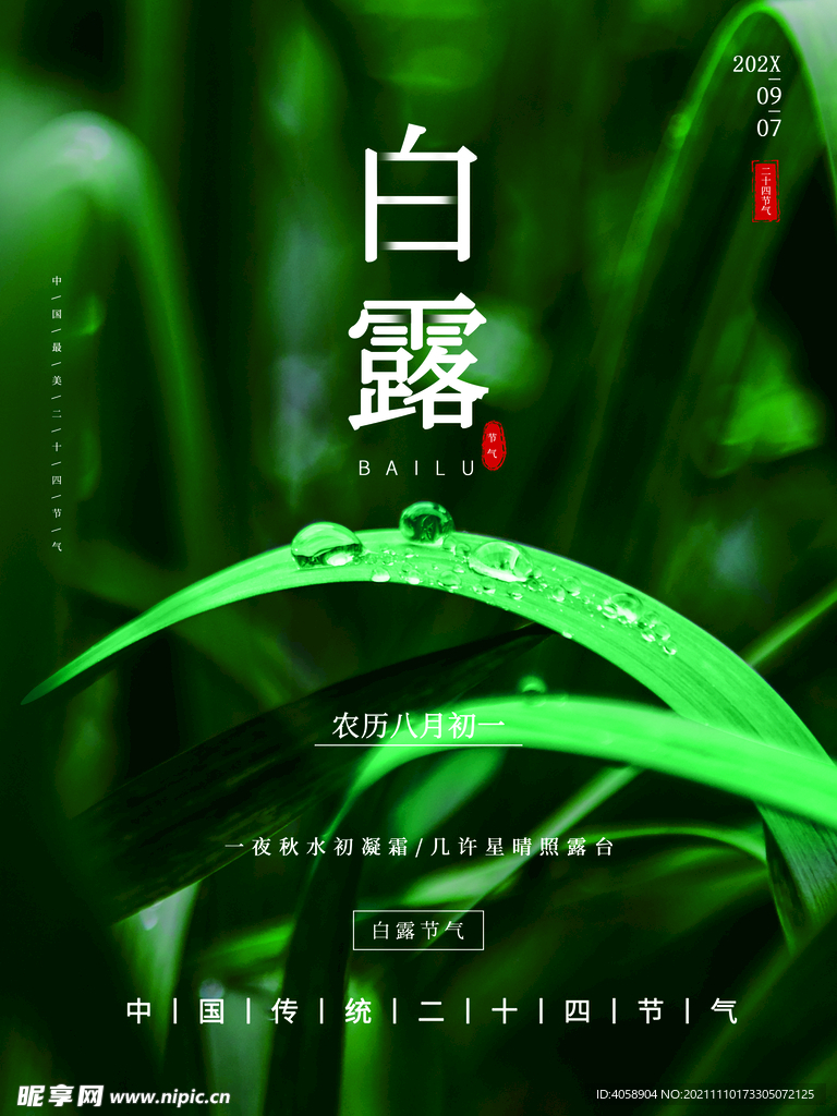白露