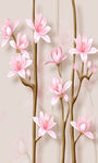 玉兰花
