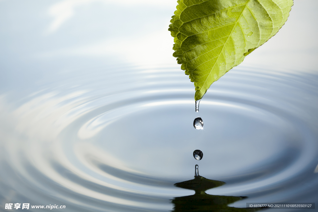 水滴