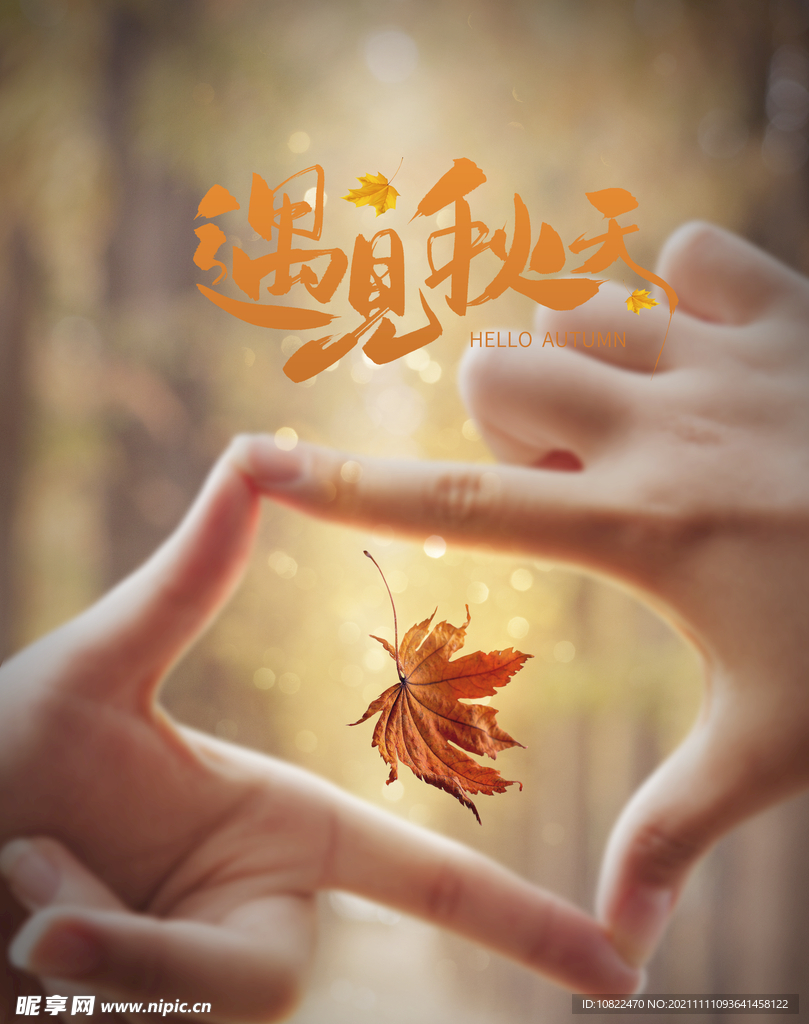 秋天海报
