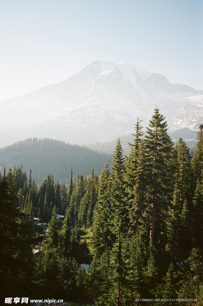 山林