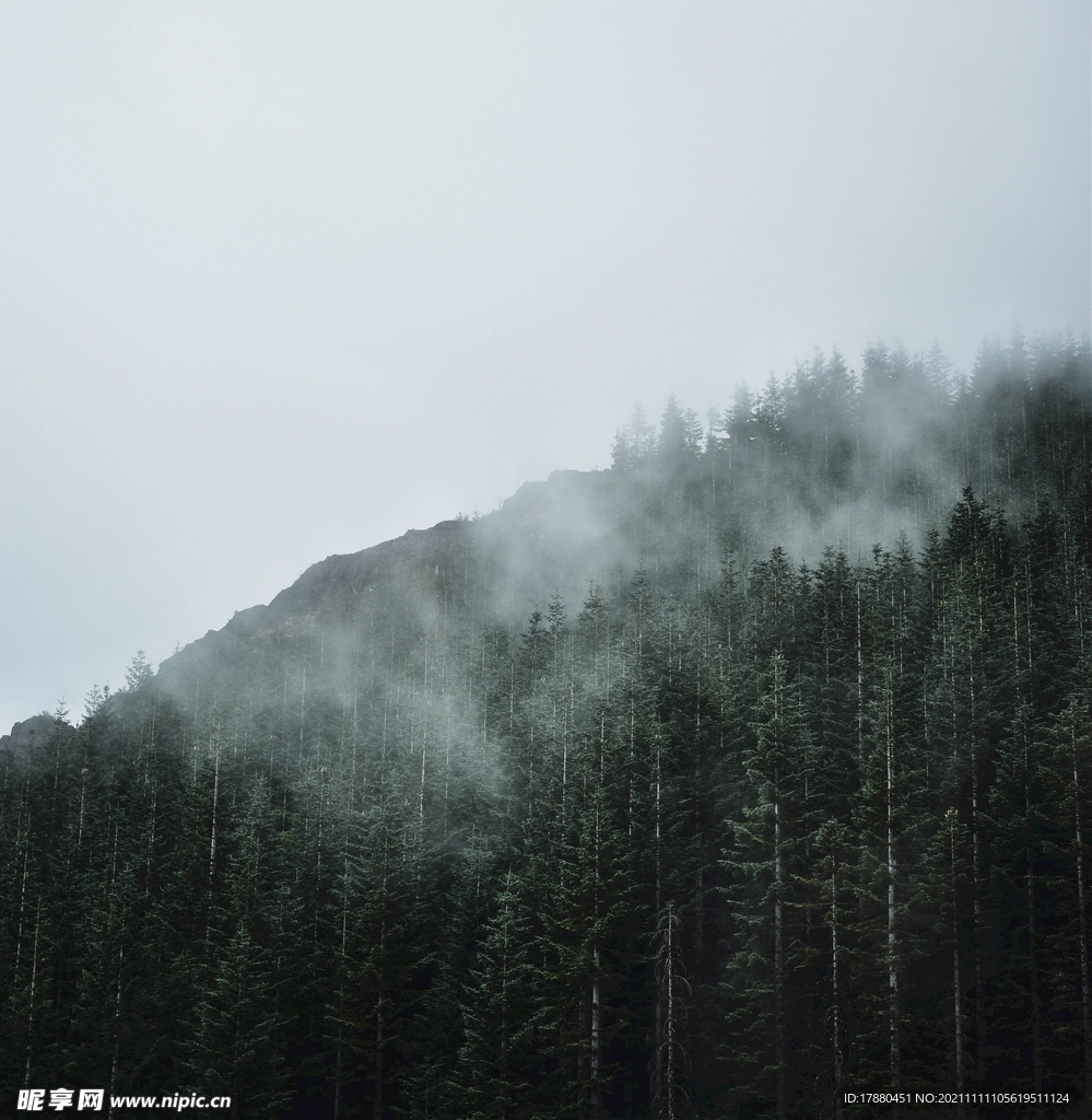 山林