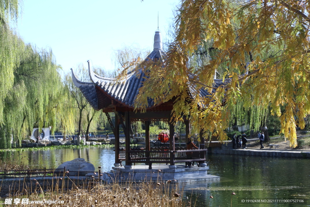 彩叶风景 