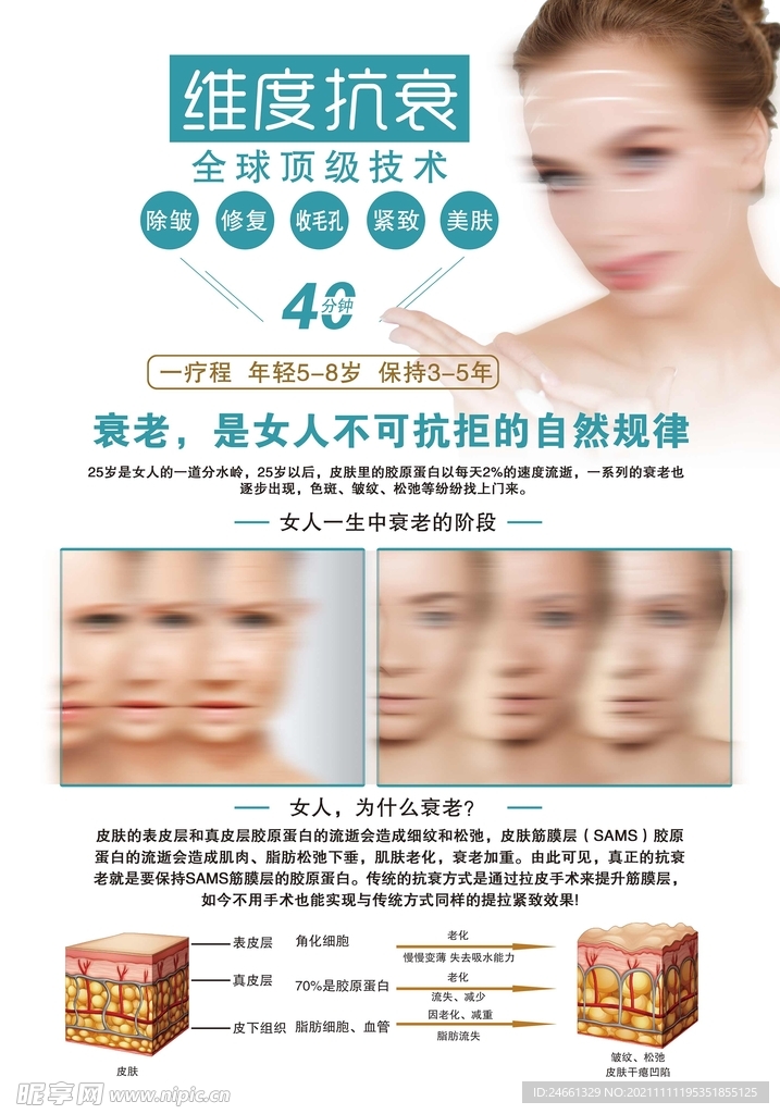 抗衰  衰老