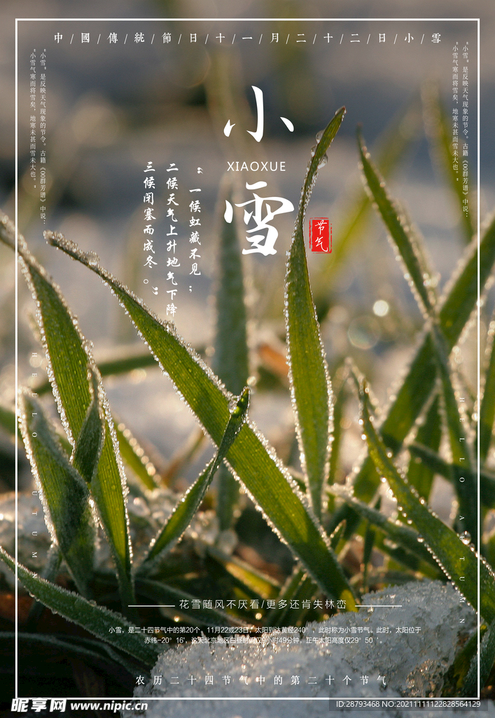 24节气 小雪海报