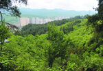 山 