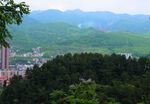 山