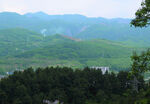 山