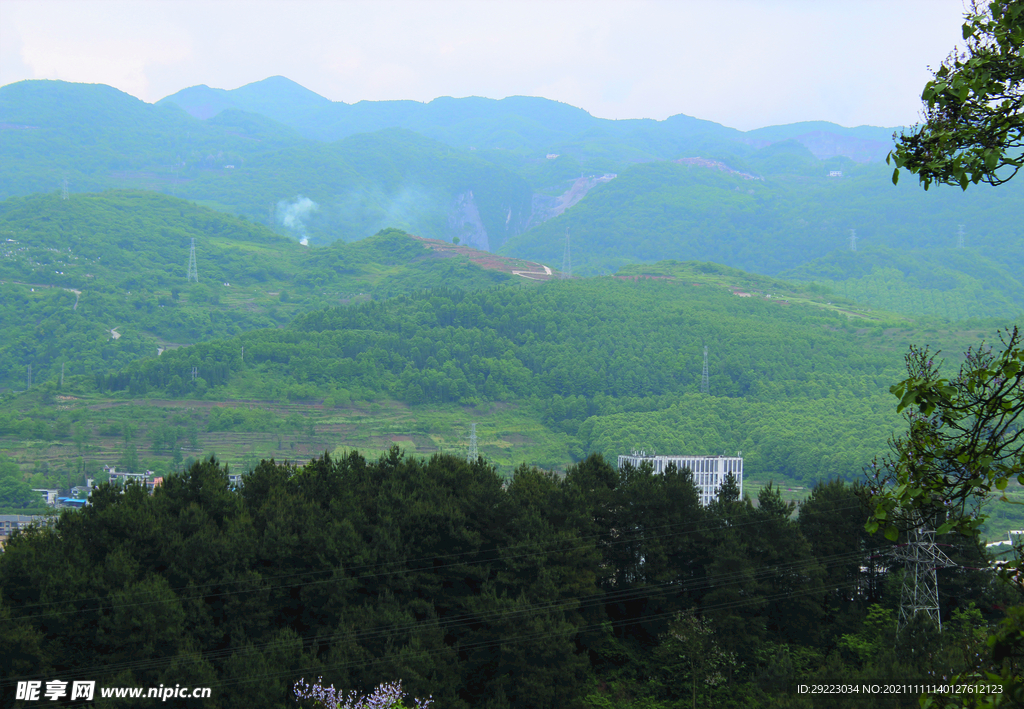 山