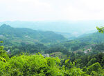 山 