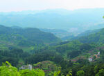 山