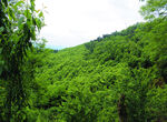 山 