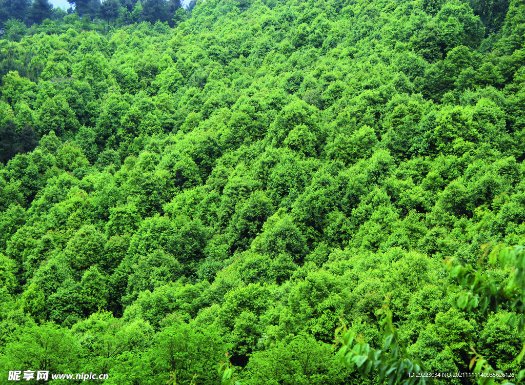 山 