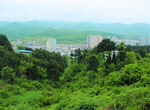 山    