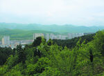 山