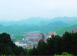 山