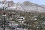 瑞雪兆丰年